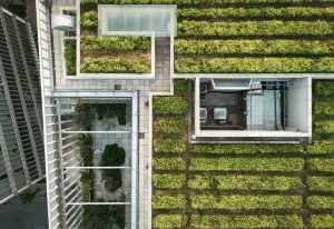 Estetyczny zielony dach z rozchodnikami na nowoczesnym budynku