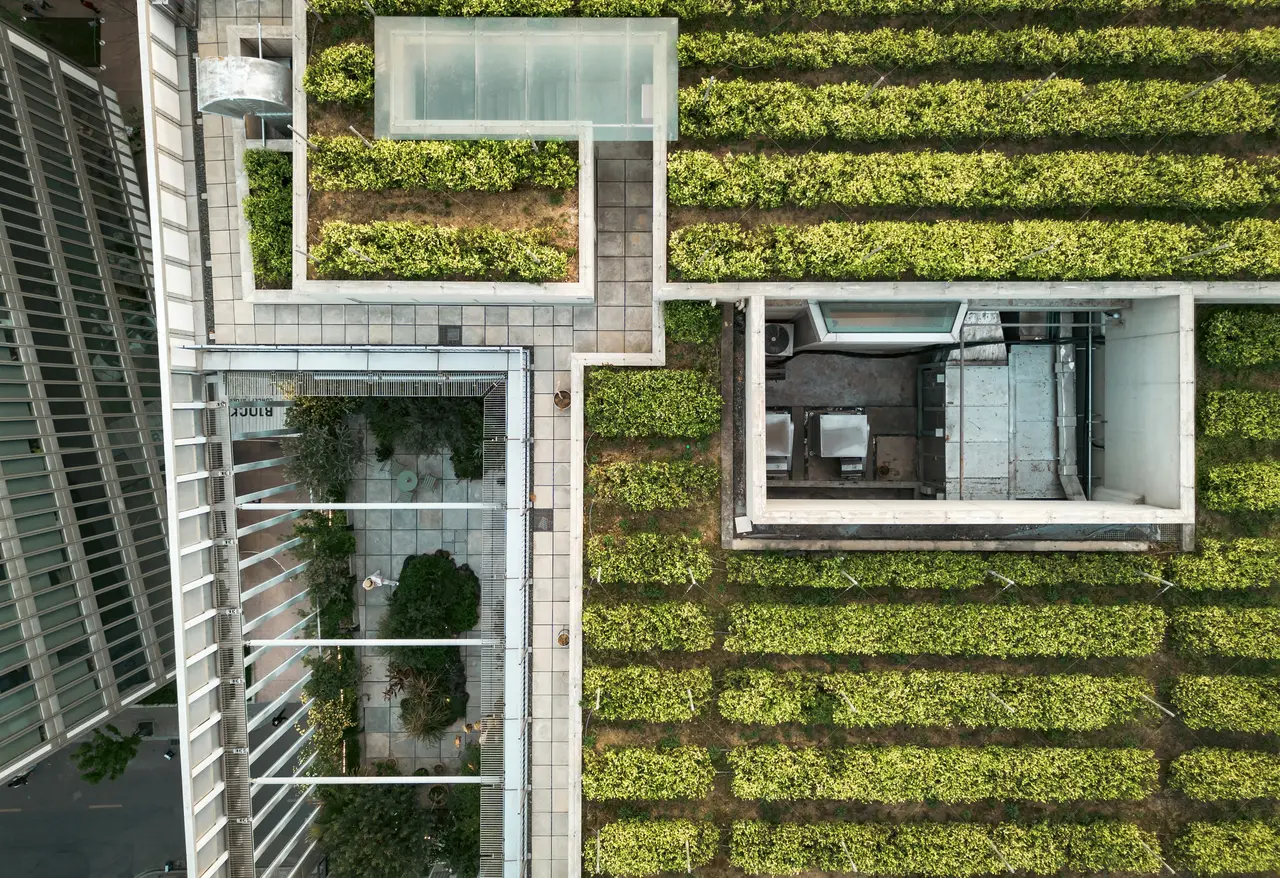 Estetyczny zielony dach z rozchodnikami na nowoczesnym budynku